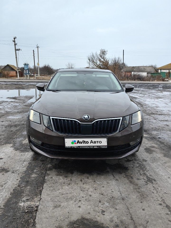 Skoda Octavia: фото владельца
