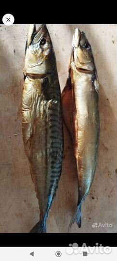 Лещ х/ к, г/ к, скумбрия х/ к, сало х/ к