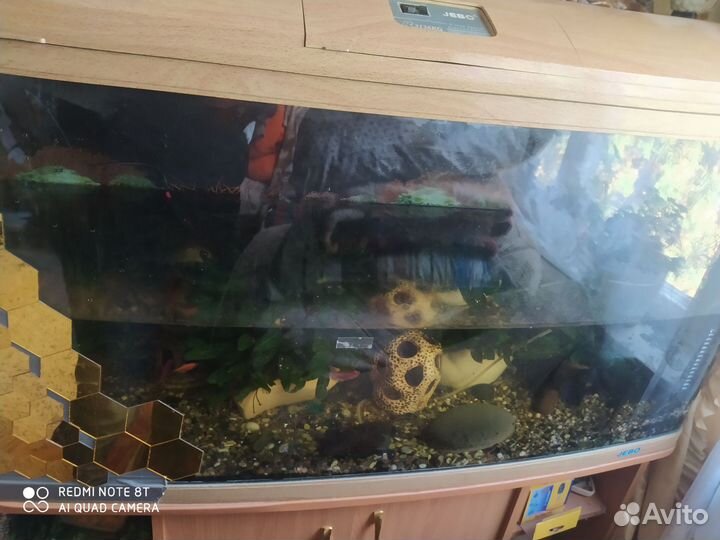 Аквариум б/у с тумбой