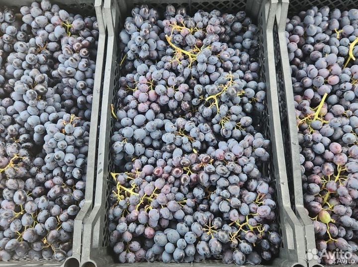 Овощи фрукты доставка до дома