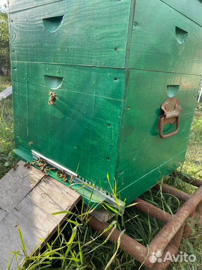 Продается мед