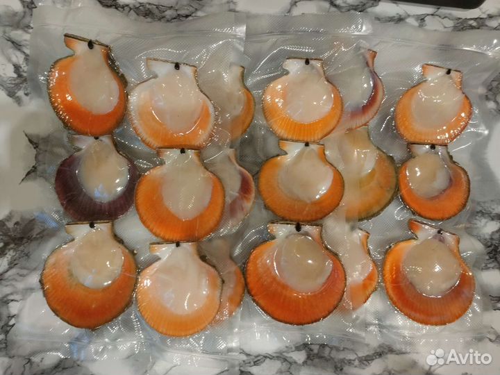 Морской гребешок в вакууме