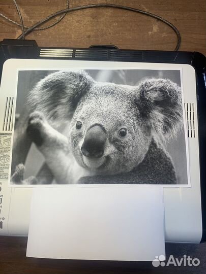 Принтер лазерный Ricoh Sp212n wifi