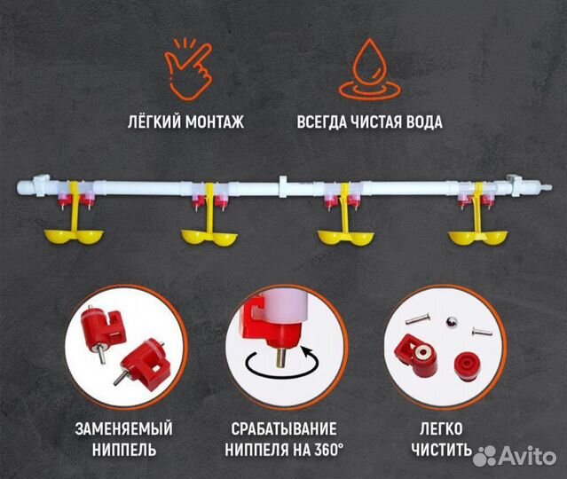 Ниппельная поилка для птицы