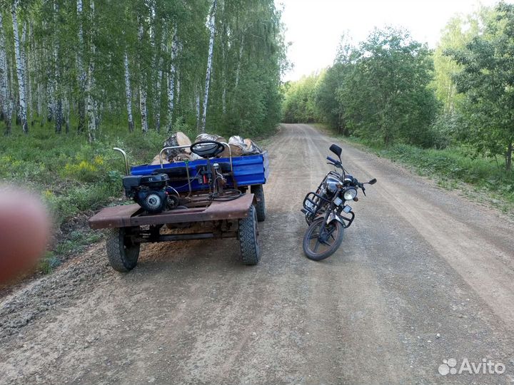 Альфа ягуар