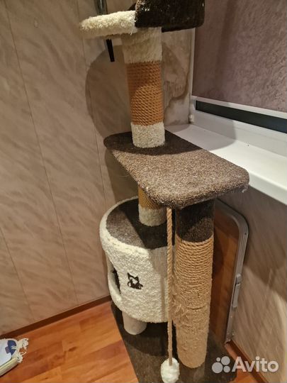 Кошачий Домик