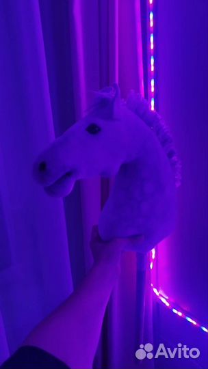 Хоббихорс/лошадь на палке