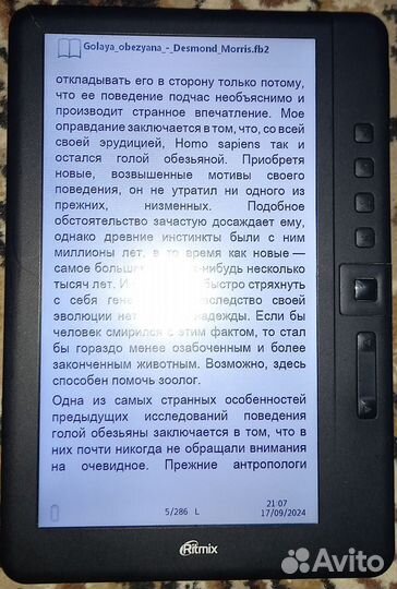 Электронная книга ritmix rbk-460