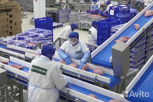 Вахта Везём от вашего дома Новьё Чисто и Без опыта