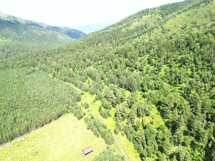 Участок 70,8 сот. (СНТ, ДНП)