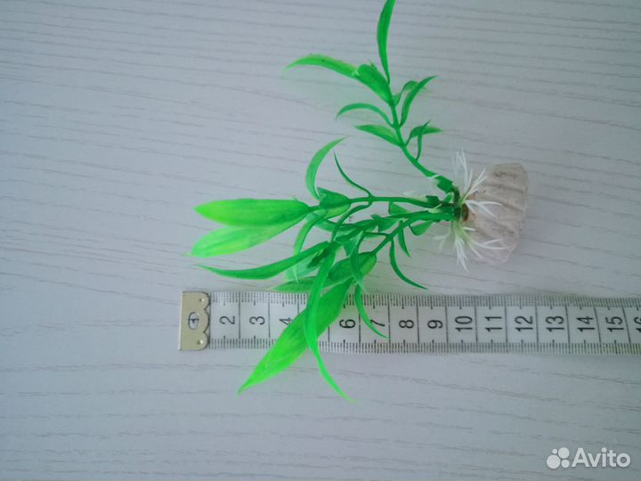 Для аквариума