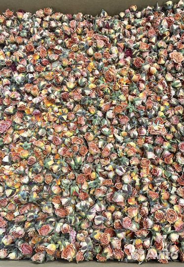 Бутоны роз сушеные