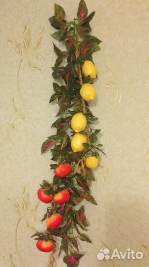 Цветы лиана фрукты в подвесном кашпо