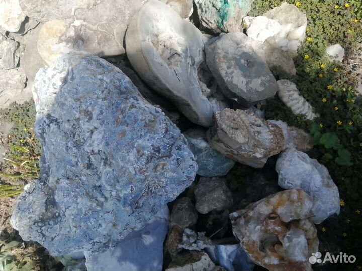 Минералы и окаменелости