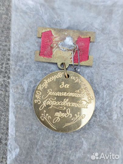 Значок Арзамас редчайший