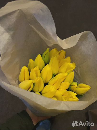 Тюльпаны предзаказ