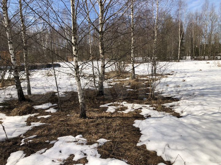 Участок 8,7 сот. (СНТ, ДНП)