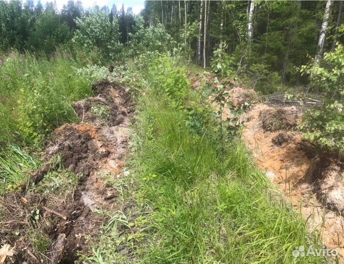 Дисковый культиватор Timbertrack TT- 26М (плуг)