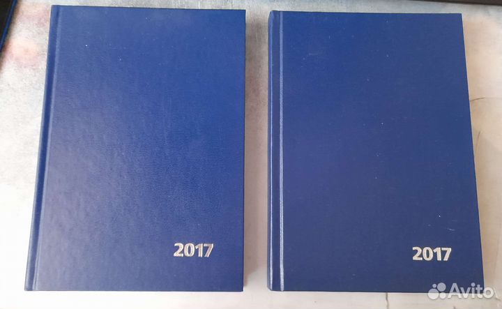 Ежедневник 2017