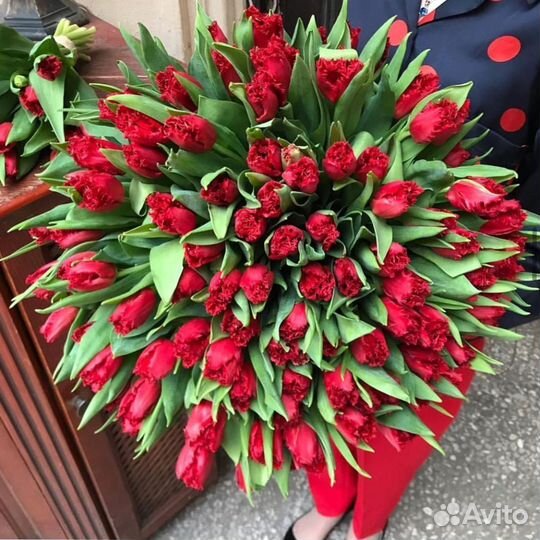 Тюльпаны цветы