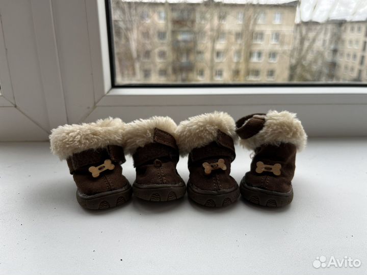 Обувь для собачки