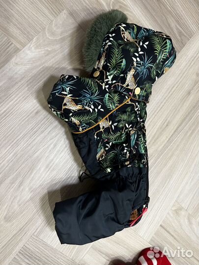 Одежда для собаки