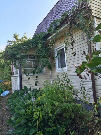 Дом 60 м² на участке 6 сот.