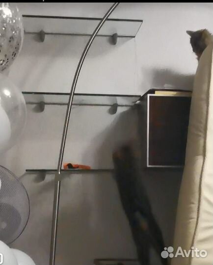 Полка навесная стеклянная