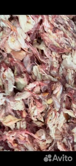 Корм для животных