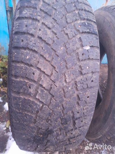 Nokian Tyres Hakkapeliitta Sport Utility 255/65 R16 109T