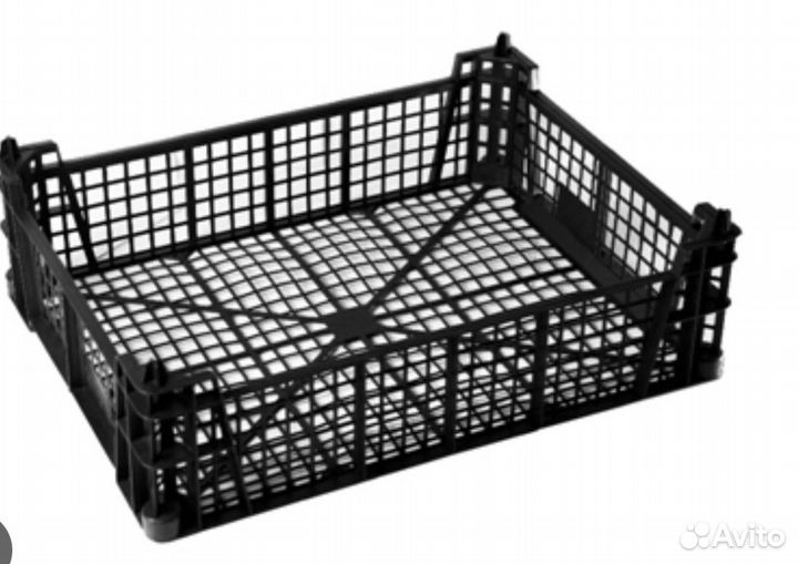 Пластиковые ящики для овощей бу