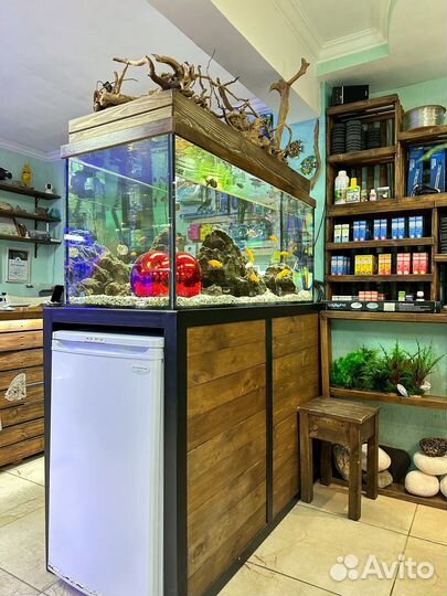 Аквариумсочи