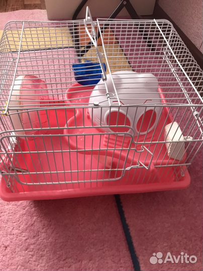 Клетка для грызунов