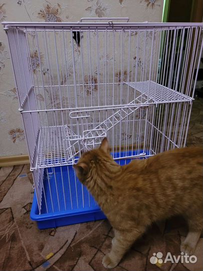 Клетка для грызунов (крыс)