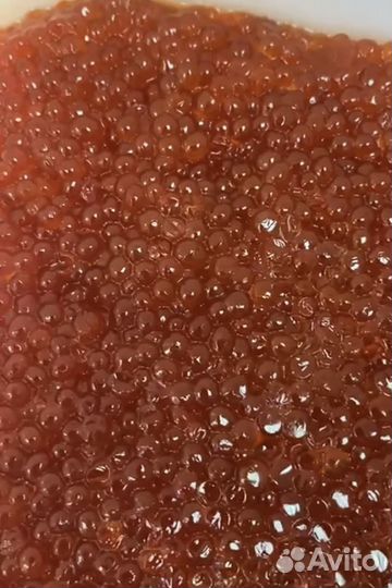 Икра горбуши Premium