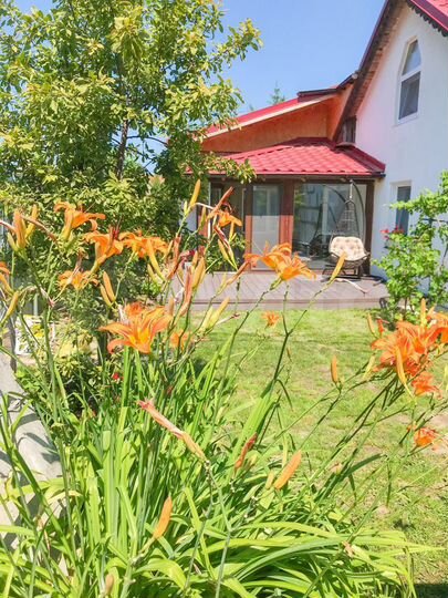 Дом 60 м² на участке 6 сот.