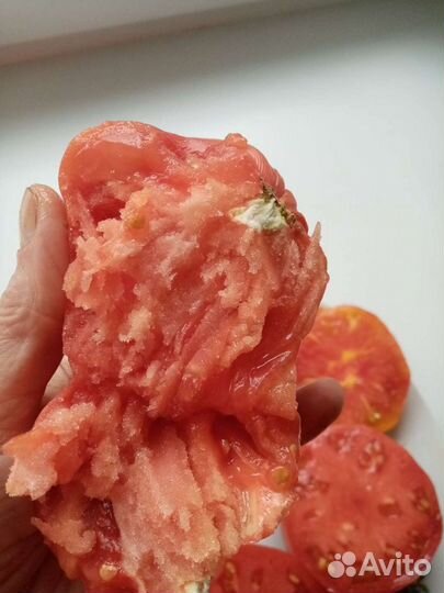 Семена Минусинских томатов