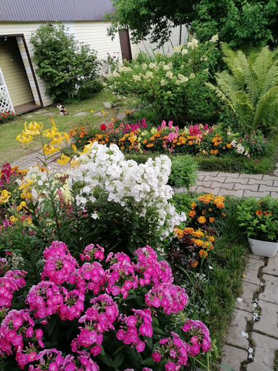 Дом 97 м² на участке 35 сот.