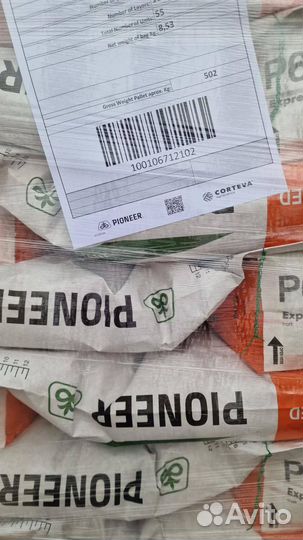 Семена подсолнечника pioneer