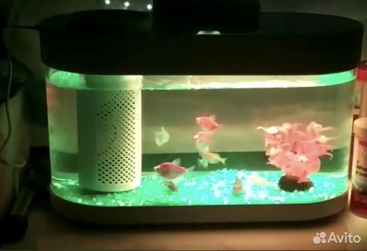 Аквариум