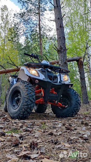 Kayo big byll au200