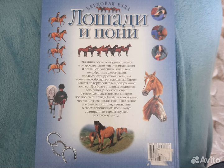 Книги о лошадях
