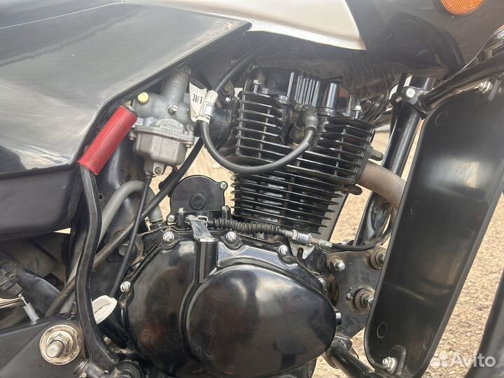 Racer RC150-23 Tiger