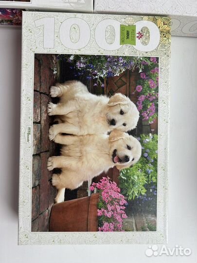 Пазлы несколько