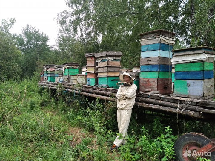 Алтайский мёд. Великолепная Девятка)