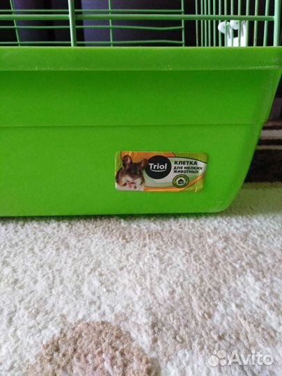Клетка triol