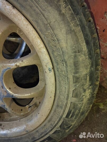 Зимние колеса r15