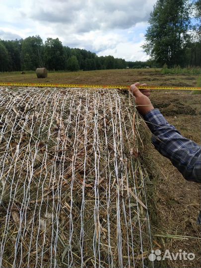 Сено в тюках с доставкой в Томск(450-470кг)