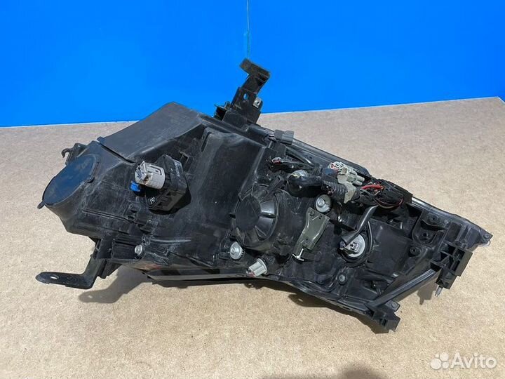 Фара правая Nissan Fuga PY50 VQ35DE