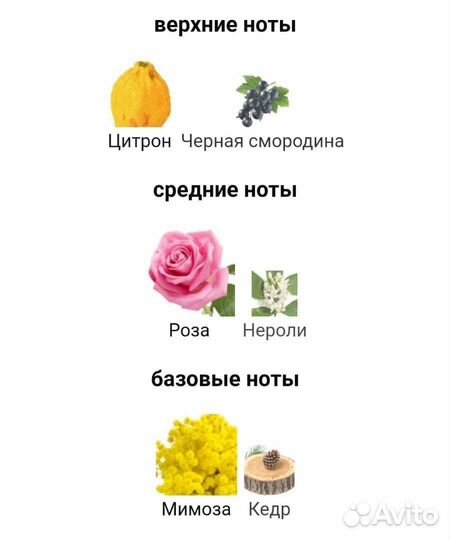 Chloé Eau de Parfum Naturelle